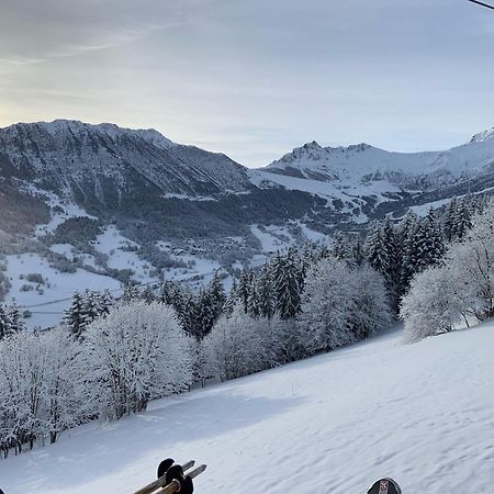Chalet Confidentiel Valmorel - Chalet De Haut De Gamme 4 Etoiles 12 Personnes Doucy Bagian luar foto