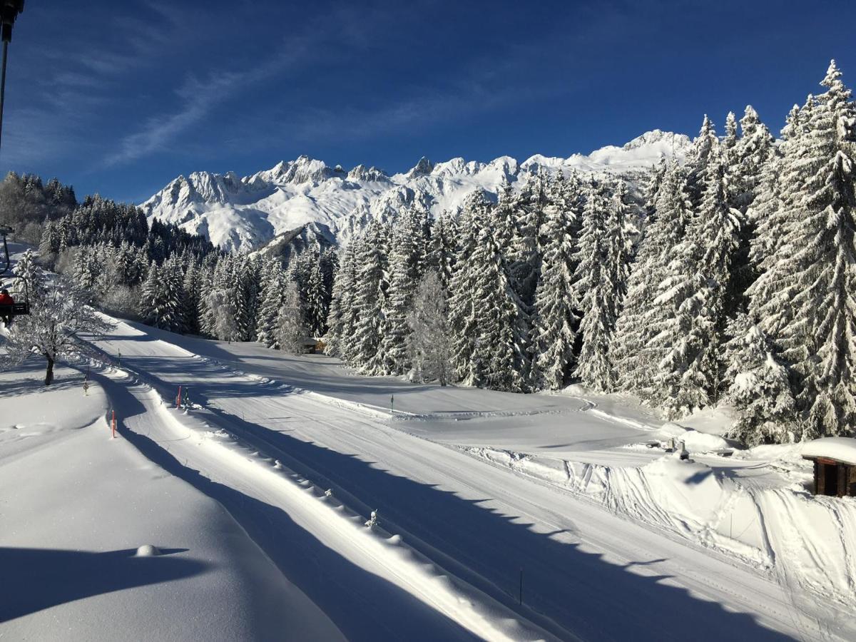 Chalet Confidentiel Valmorel - Chalet De Haut De Gamme 4 Etoiles 12 Personnes Doucy Bagian luar foto
