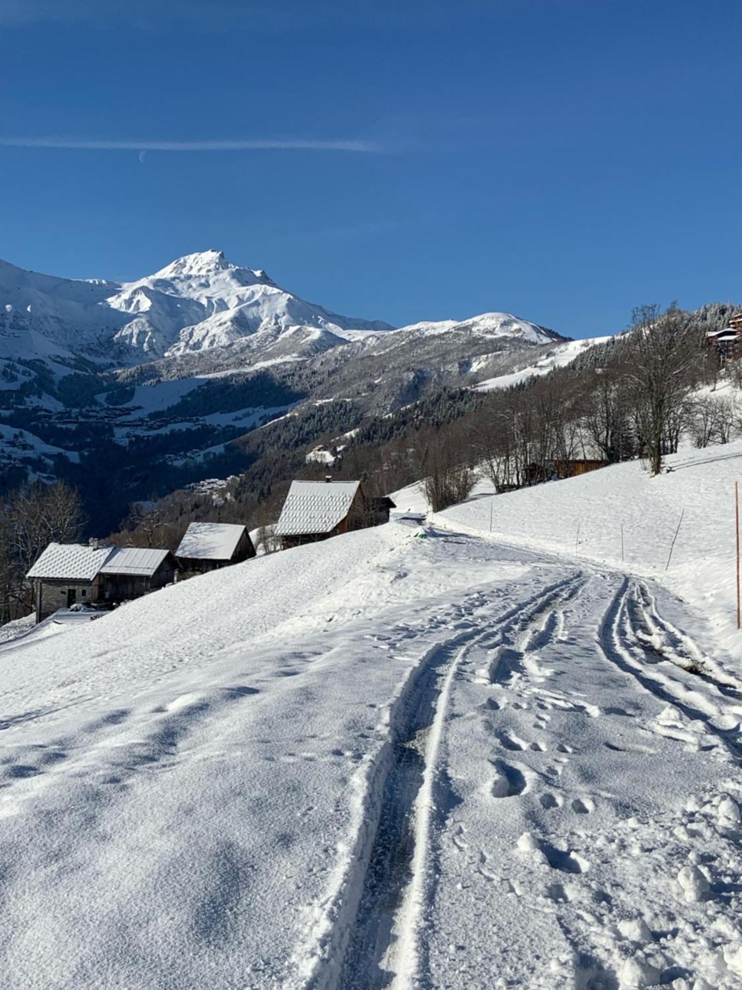Chalet Confidentiel Valmorel - Chalet De Haut De Gamme 4 Etoiles 12 Personnes Doucy Bagian luar foto